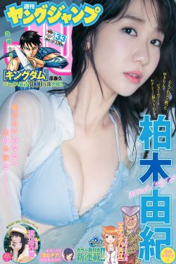 电视剧新儿女英雄传